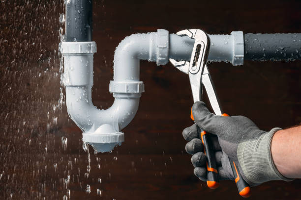 Professional Plumber technician working in Edwards, IL